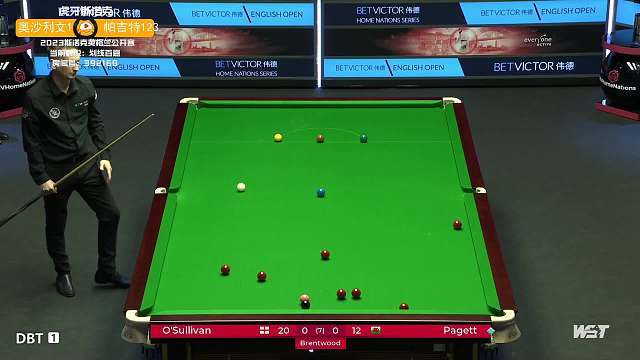 球迷的喜爱 球迷的喜爱